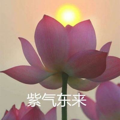 帝国征途手机游戏(暂未上线)v1.0 安卓版